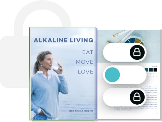 Ebook security