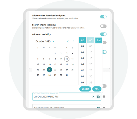Paperturn interface showing digital publication scheduling, download permissions, and SEO accessibil