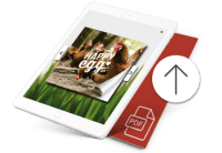 Lade deine PDF-Datei hoch Lade deine PDF-Datei hoch
